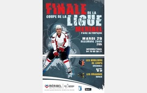 Finale Coupe de la Ligue 