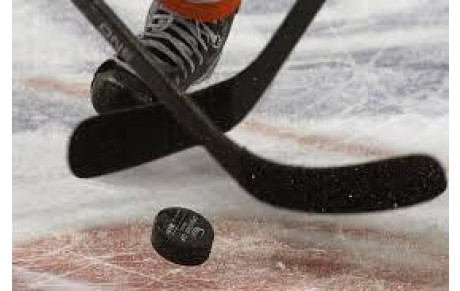 LM : PO 1/2 finale M2